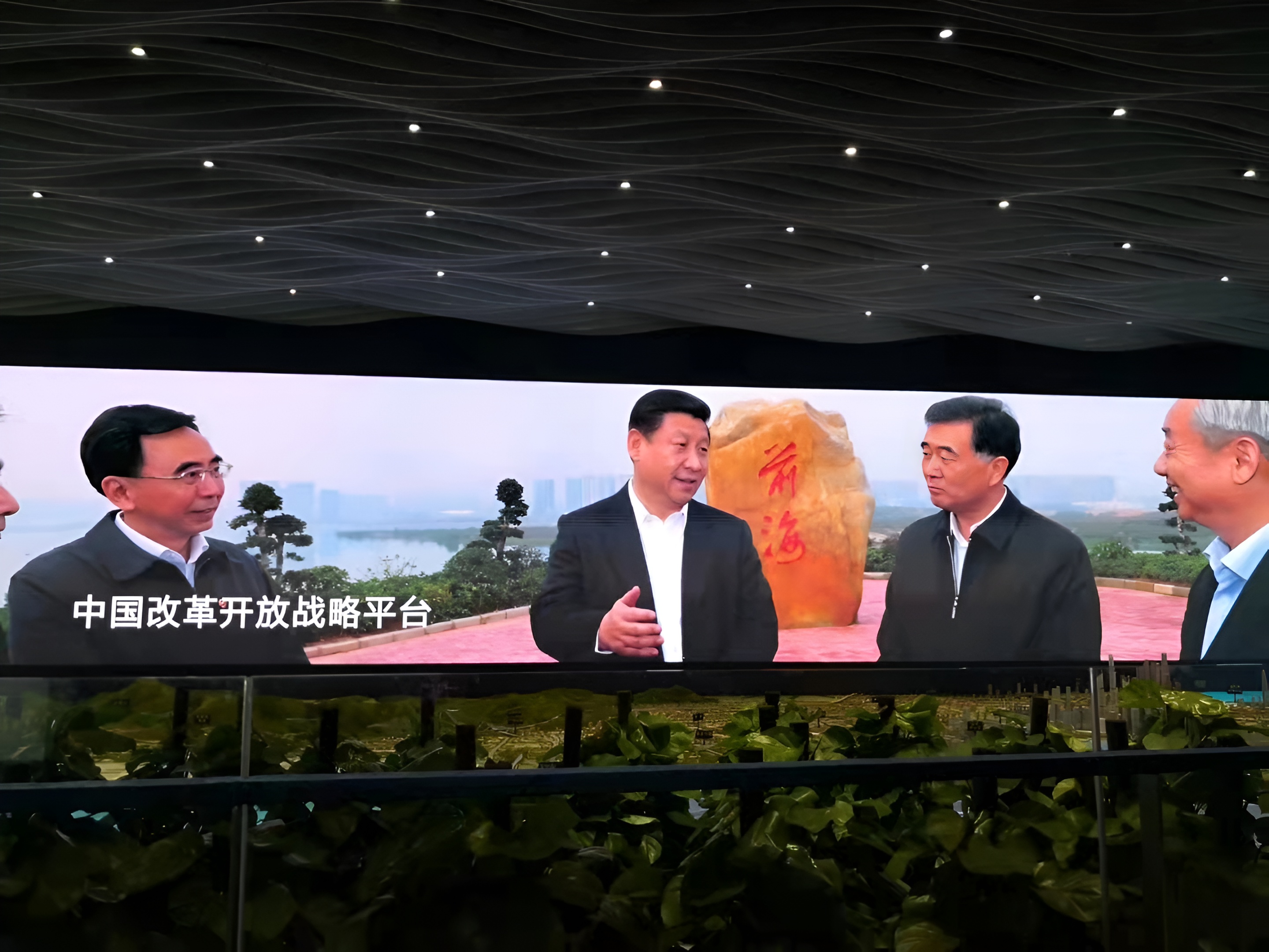 海展示中心   P1.5   50m2